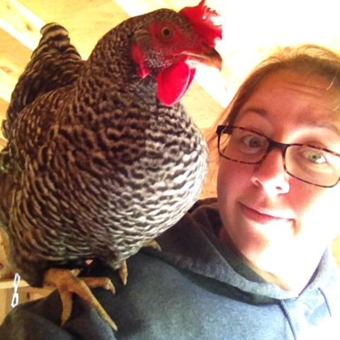 Episode 323: Ithaca Farmers Market & Fishkill Farms