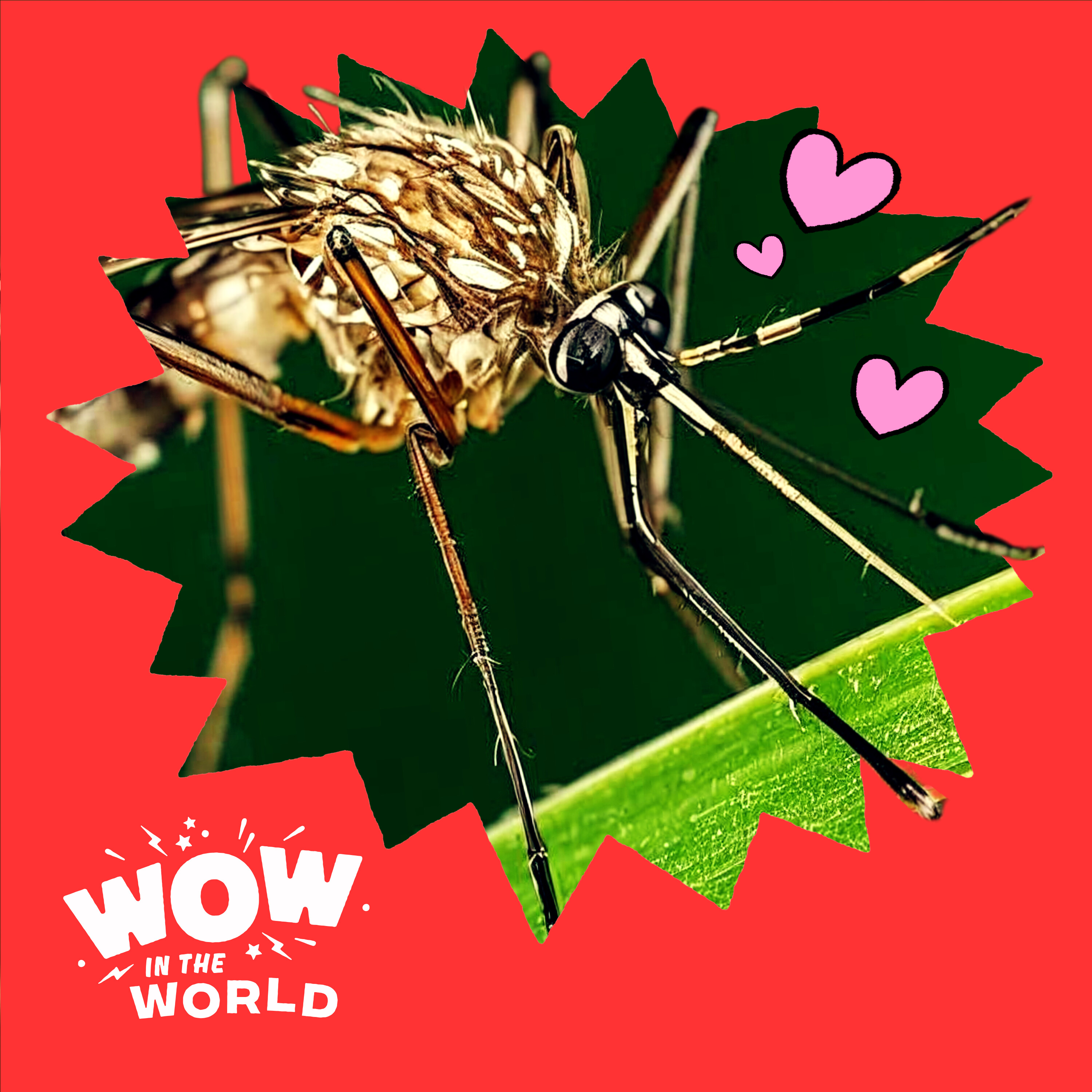 Tag! You’re BIT! The Science of Why Mosquitoes Bite Certain People!