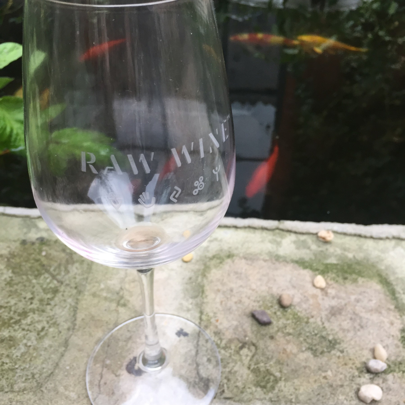 Isabelle Legeron at the RAW Wine Fair