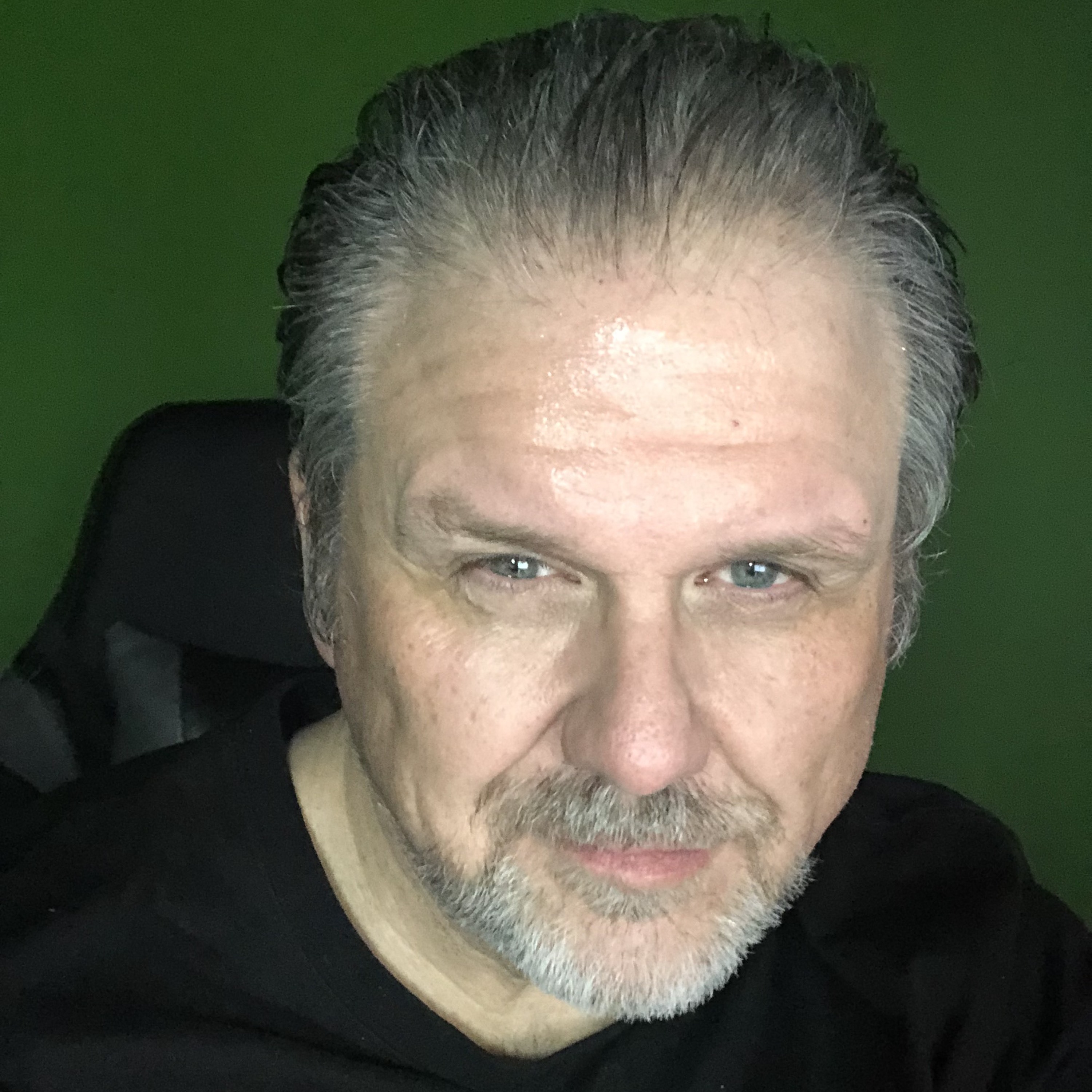 Episode Seventeen, Year Fourteen artwork