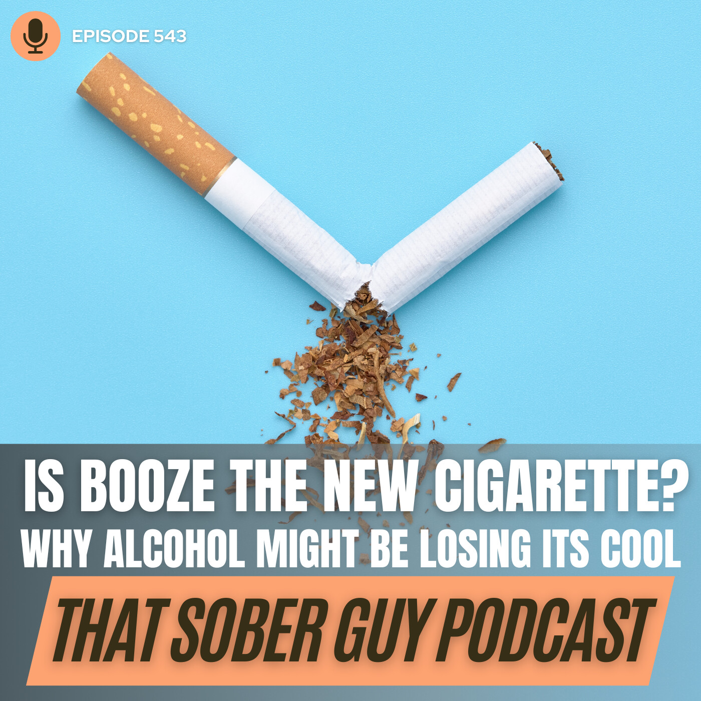 That Sober Guy Podcast
