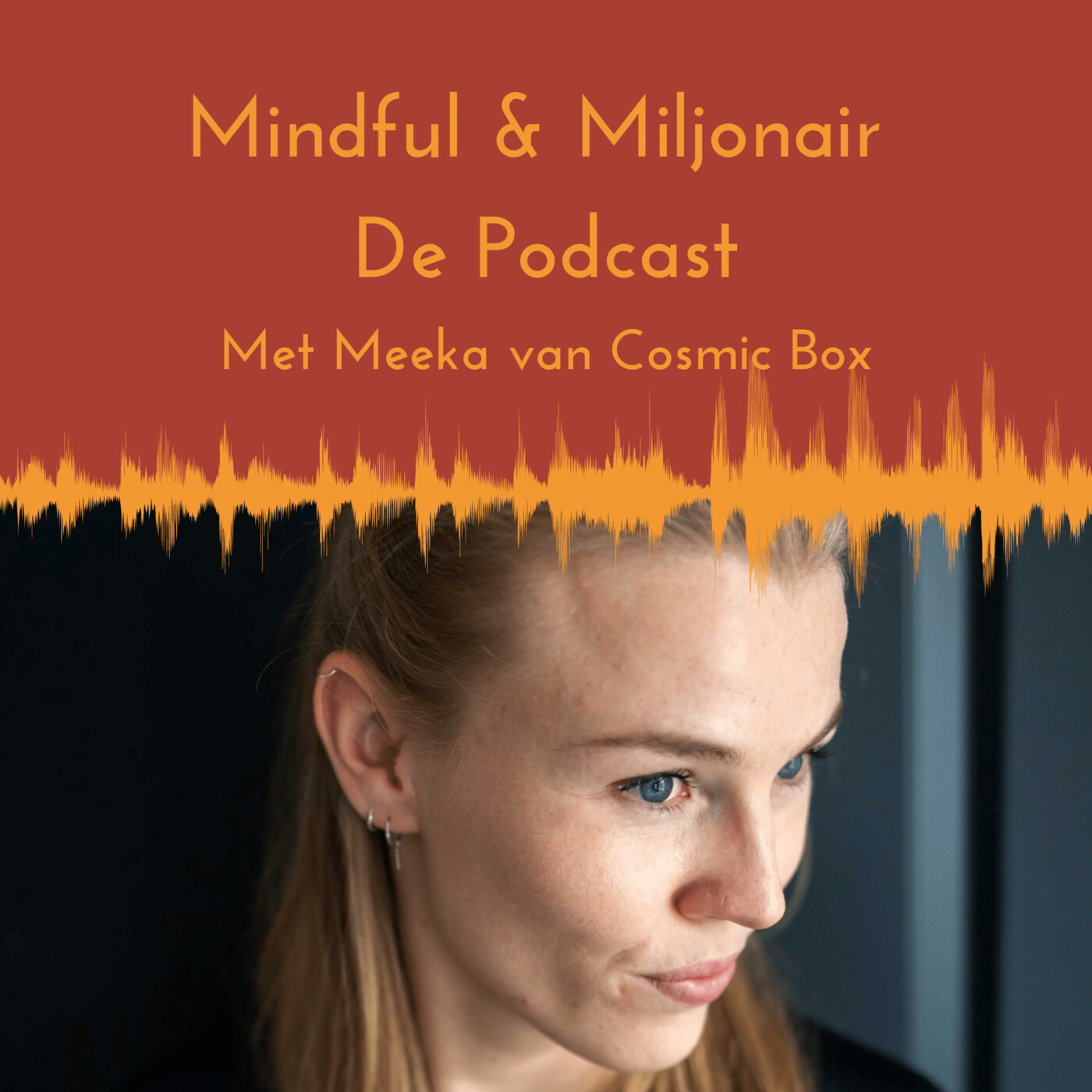 Mindful & Miljonair