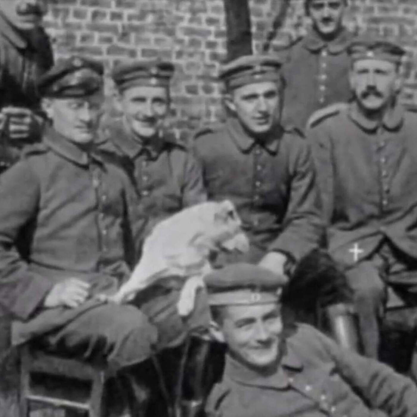 Architects of Darkness