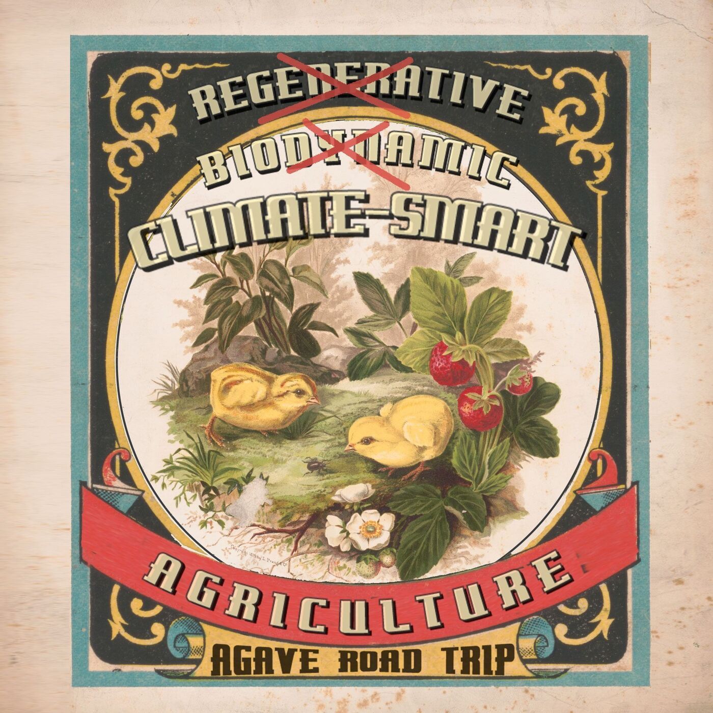 Regenerative Agriculture? Biodynamic Agriculture? Climate-Smart Agriculture!
