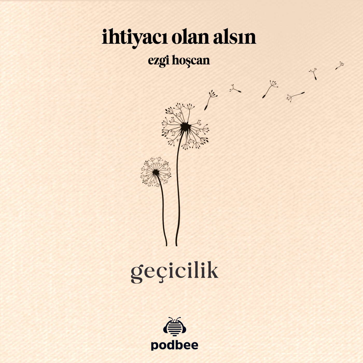Geçicilik