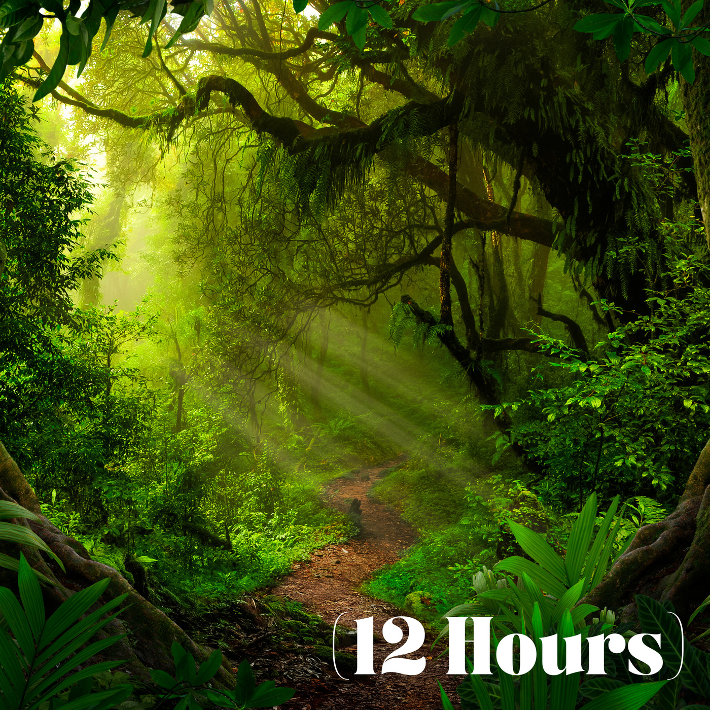 Green Noise & Rainforest Ambience | Sleep Sound (12 Hours)