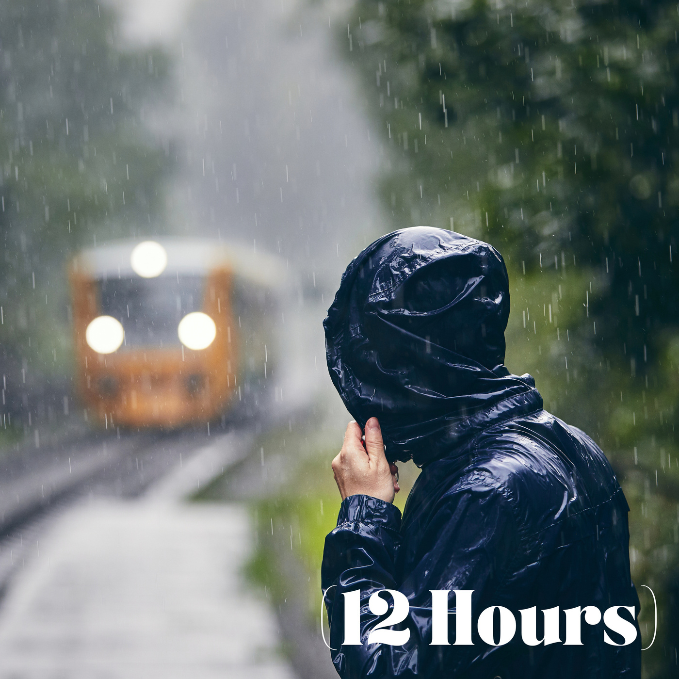 Gentle Rain Shower | Sleep Sound (12 Hours)
