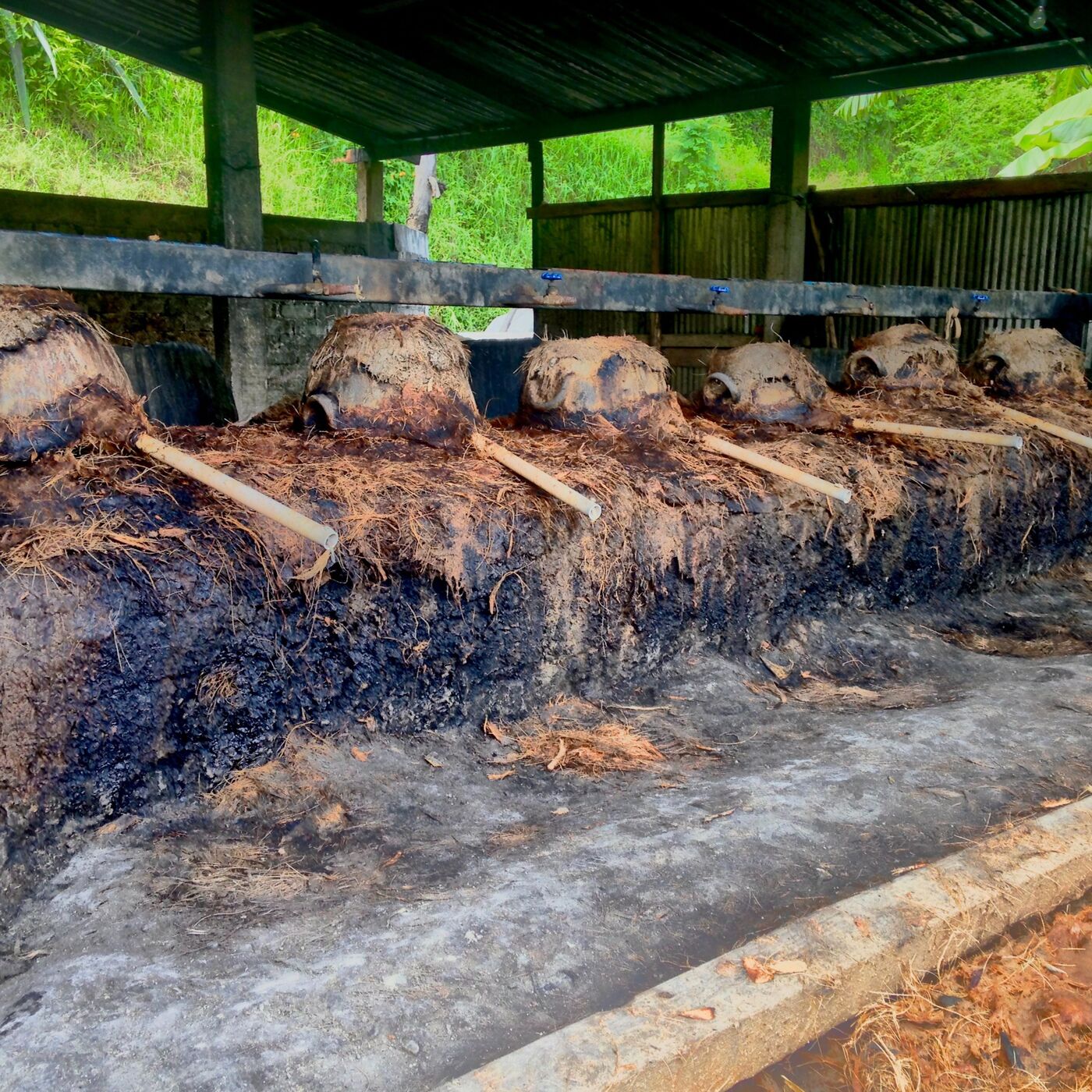 Be Still My Heart - S1E6