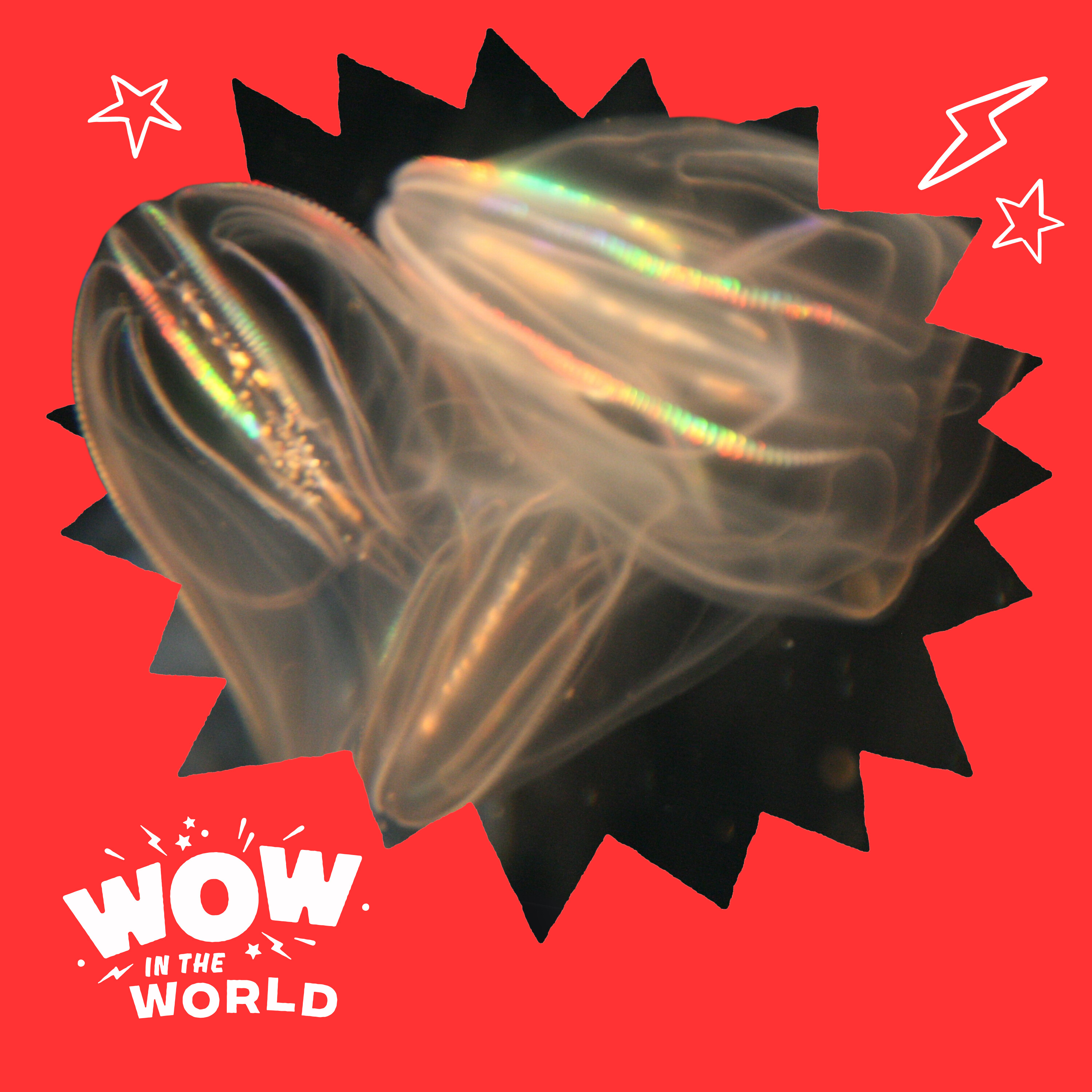 When Glue Becomes One (2/3/25)