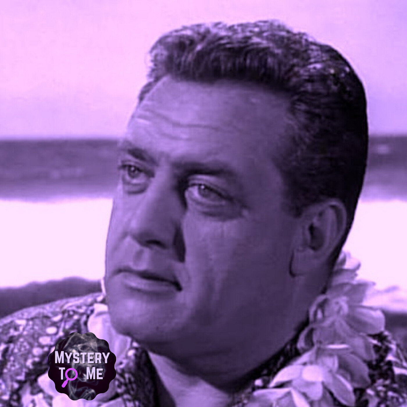 Perry Mason: "The Case of the Feather Cloak" (1965) episode artwork