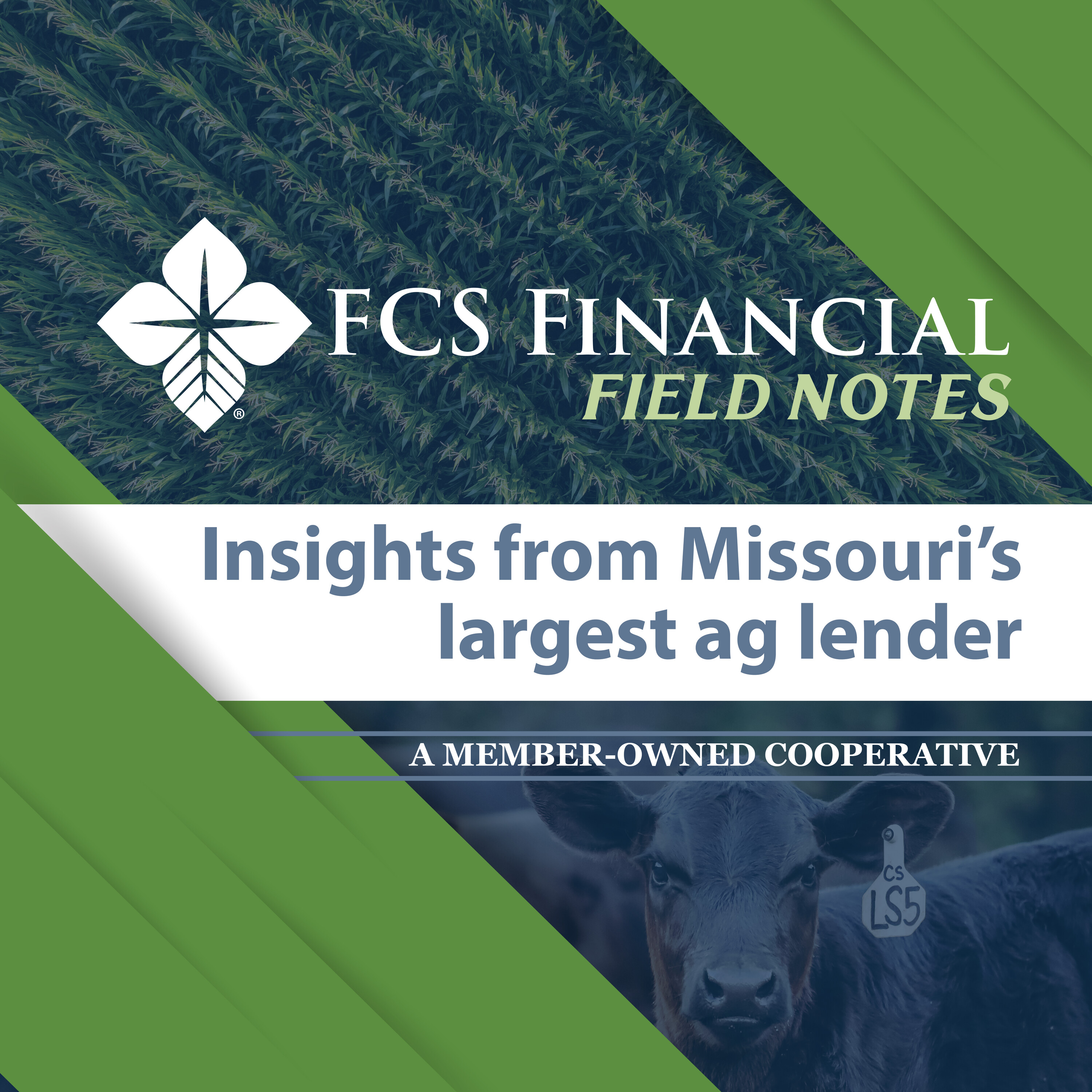 FCS Financial Field Notes: Helping farmers manage high input costs at planting episode artwork