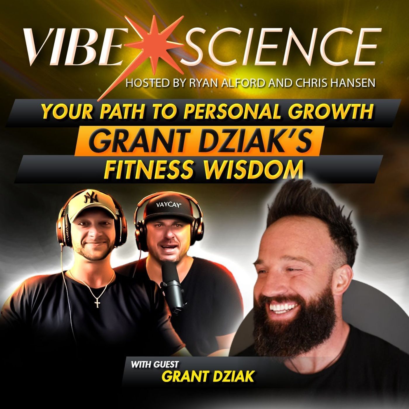 THE VIBE SCIENCE PODCAST