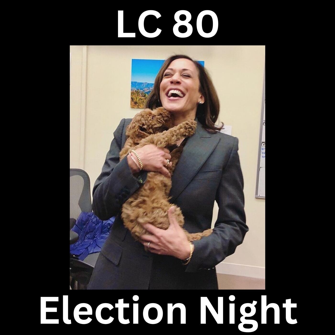 Ep 80 — How To Watch The Election Hour By Hour