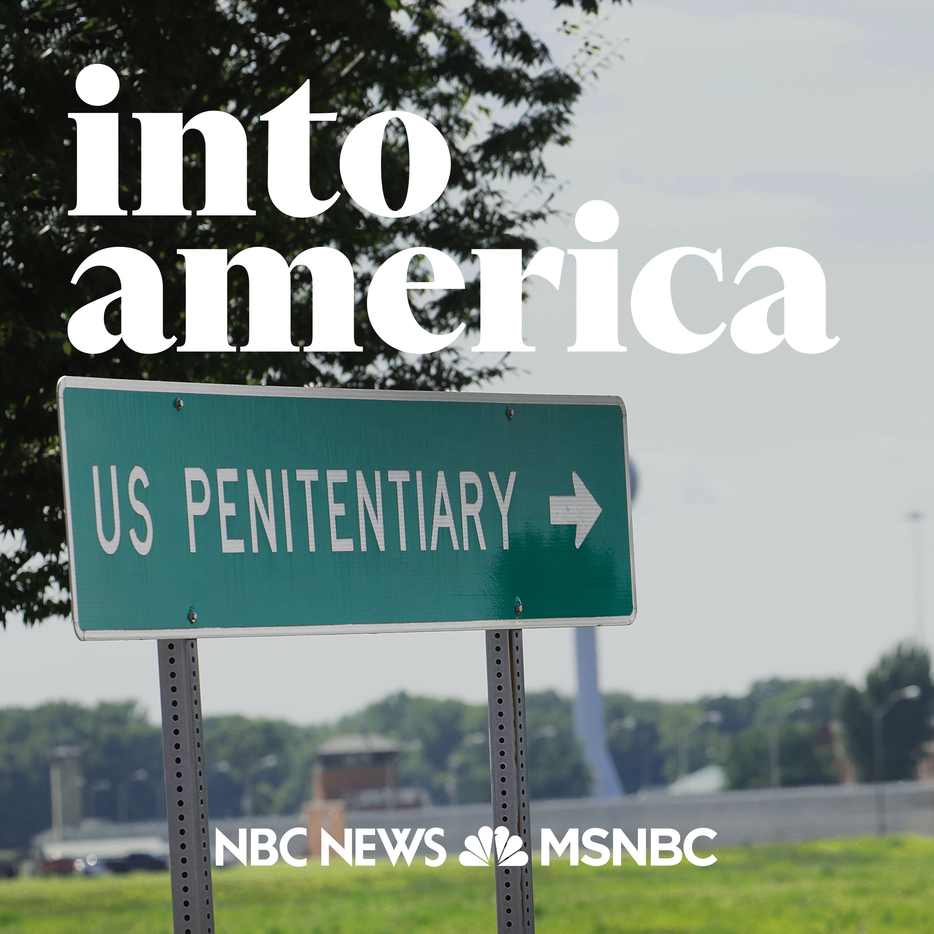 Into Resuming Federal Executions