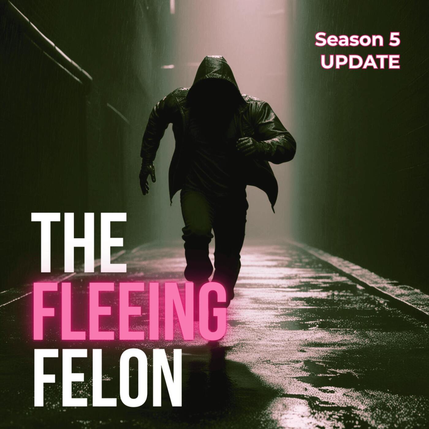 S6E12 Return of the Fleeing Felon: Kari’s Update