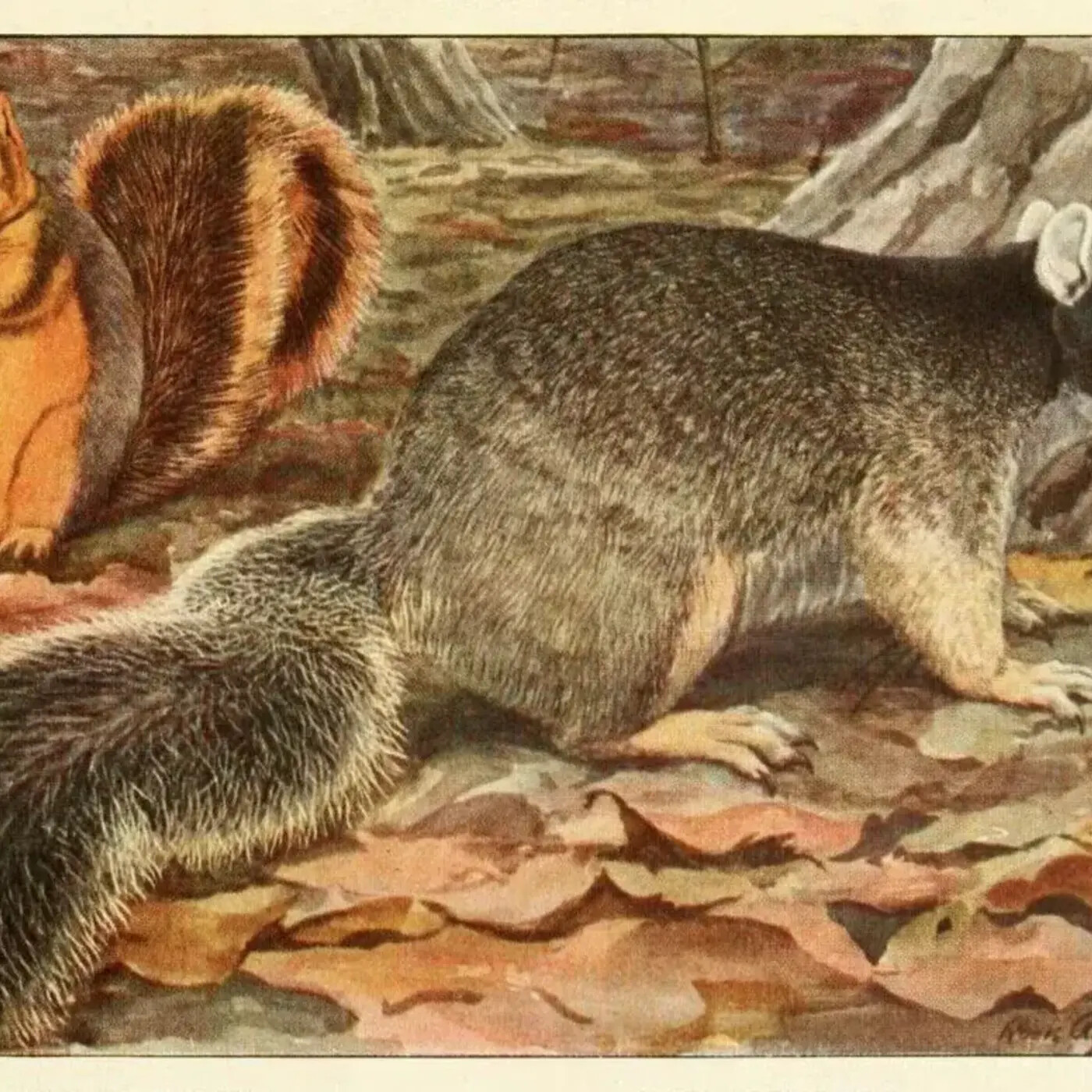 In Defense of Plants Podcast