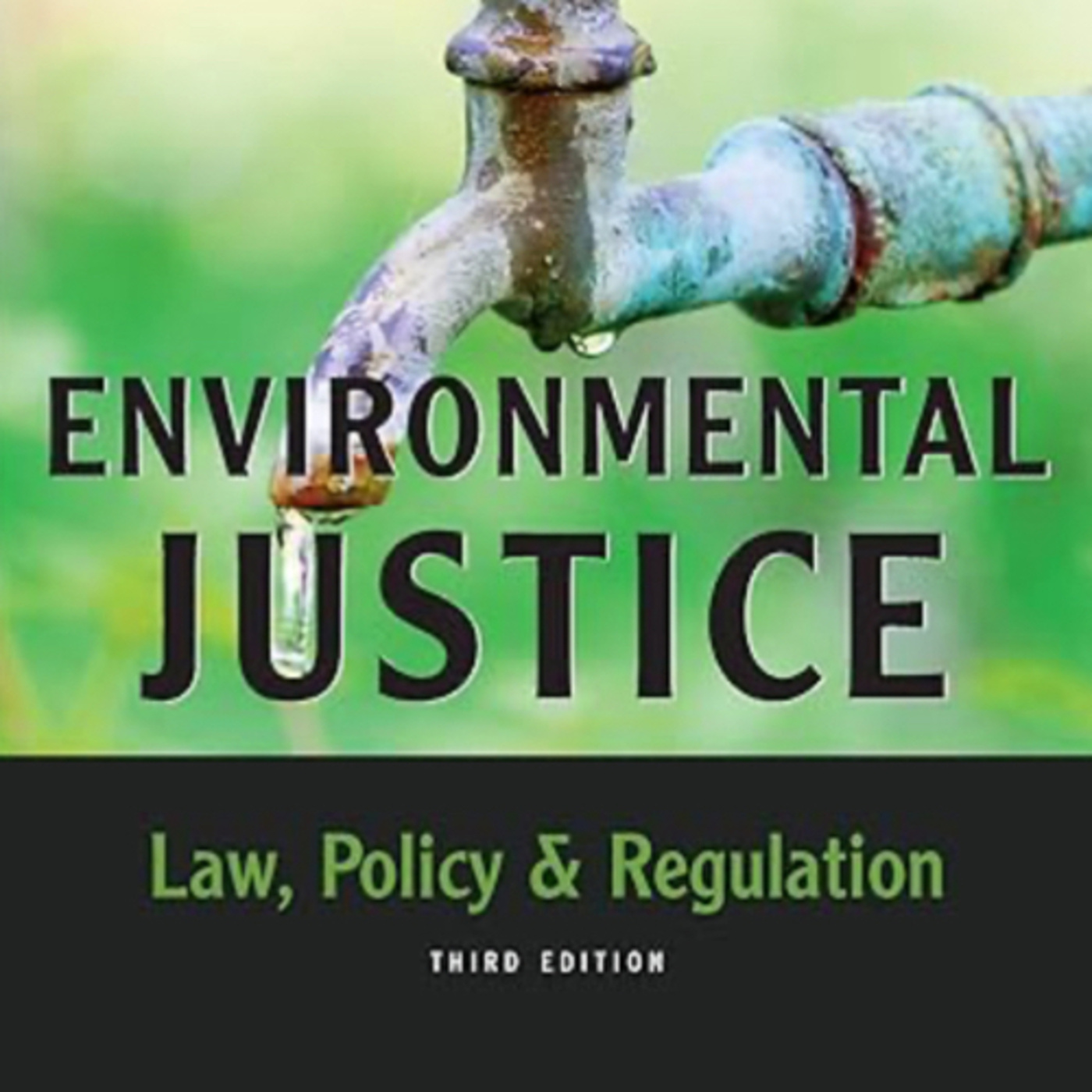 Environmental Justice: Law, Policy & Regulation, Third Edition by Rebecca Bratspies