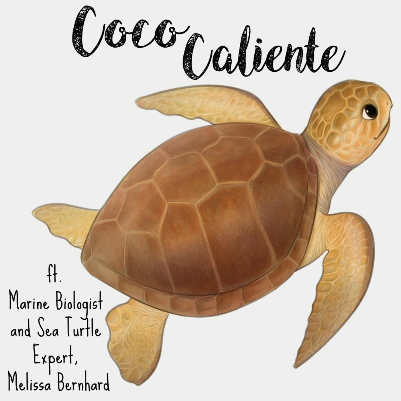 EP86: Marine Biologist & Sea Turtle Expert Melissa Bernhard