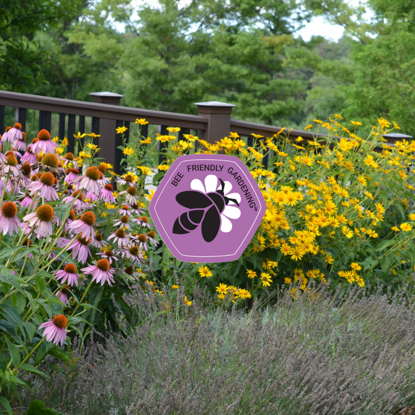 In Defense of Plants Podcast