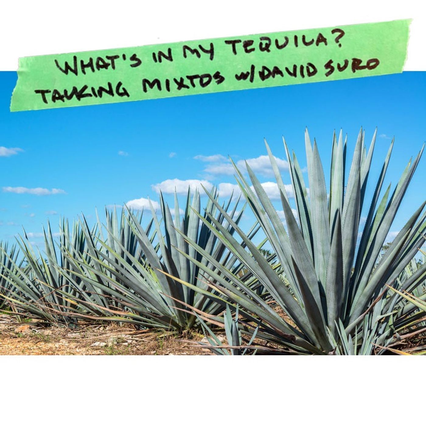 What's in My Tequila? - S2E1