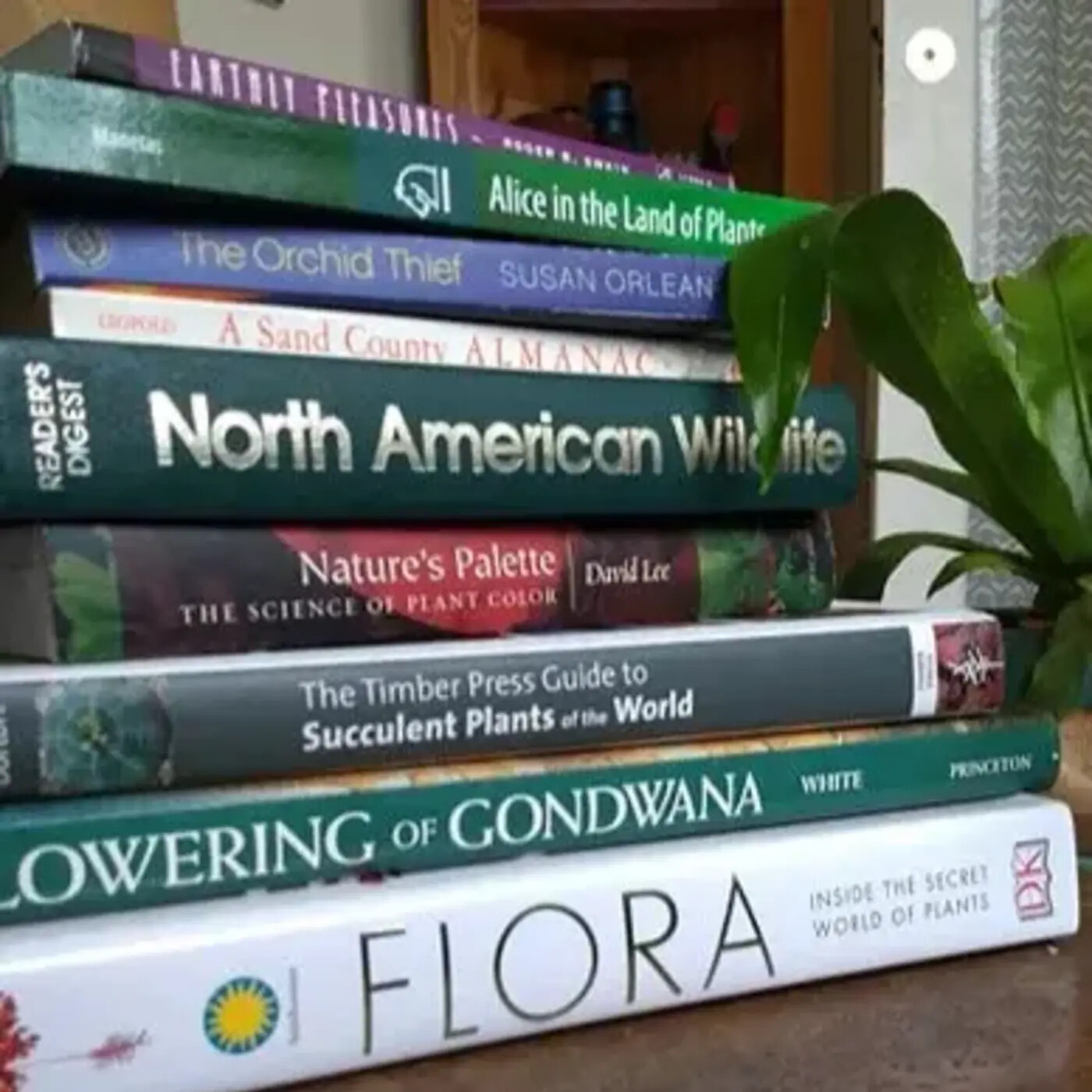 In Defense of Plants Podcast