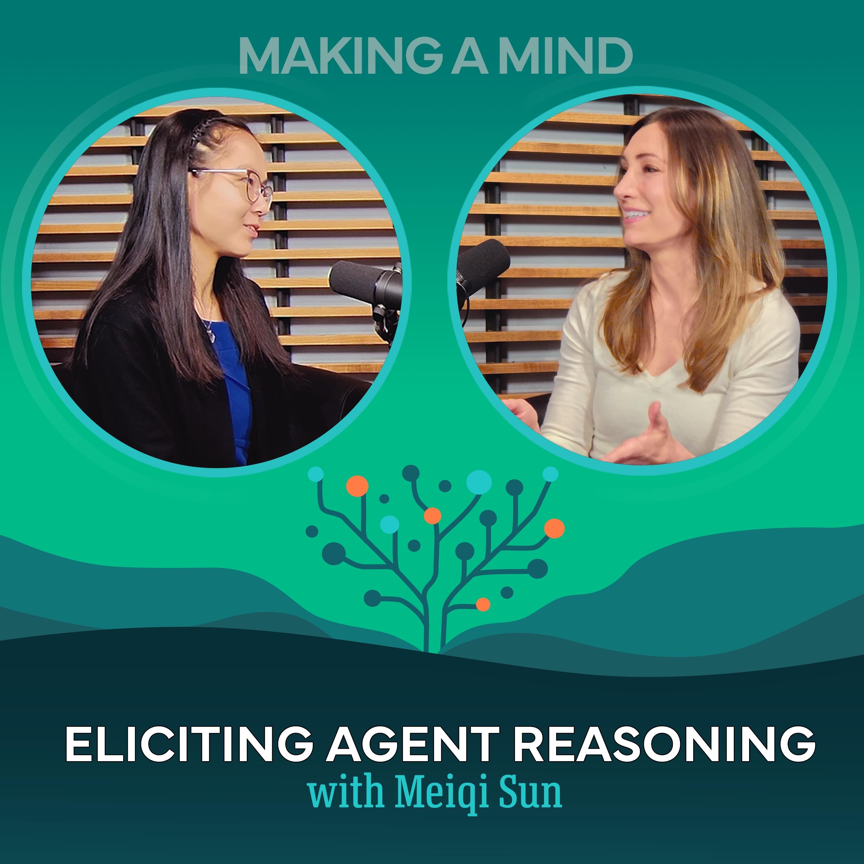 Eliciting Agent Reasoning with Meiqi Sun