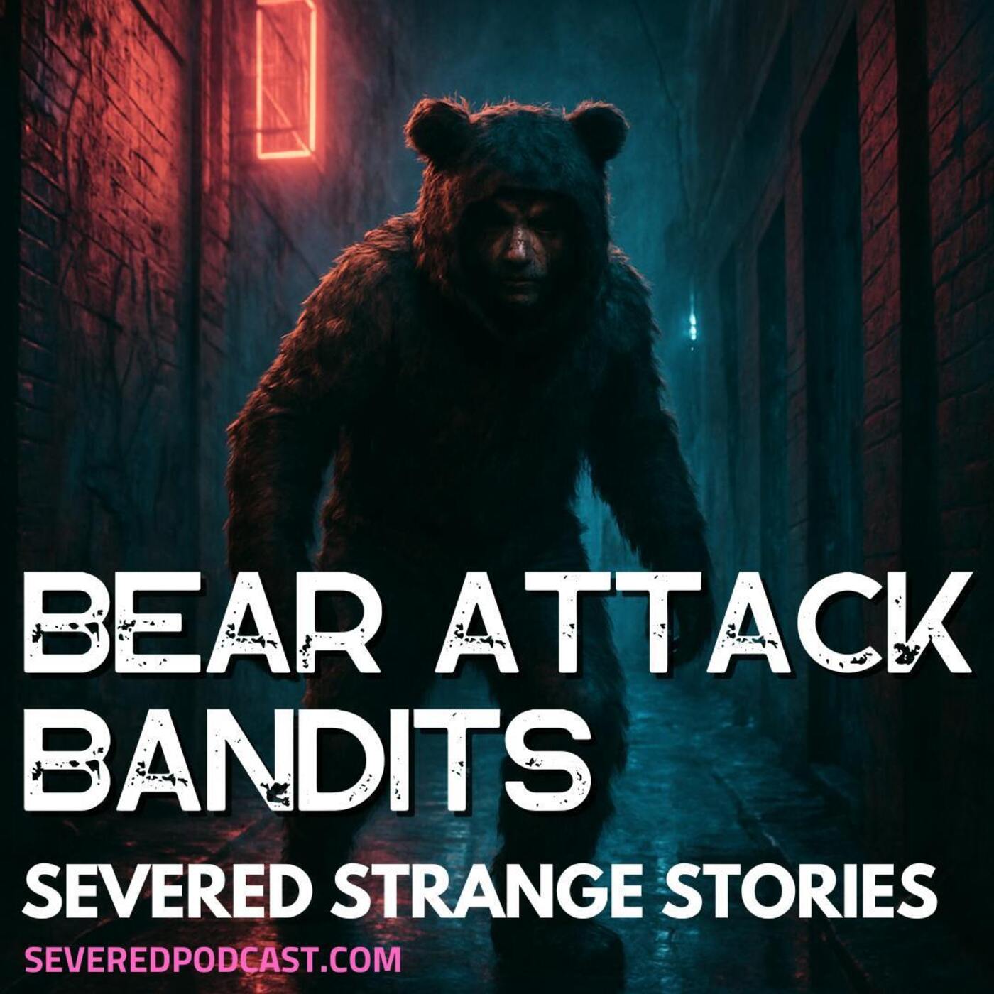 Strange Stories: Bear Attack Bandits