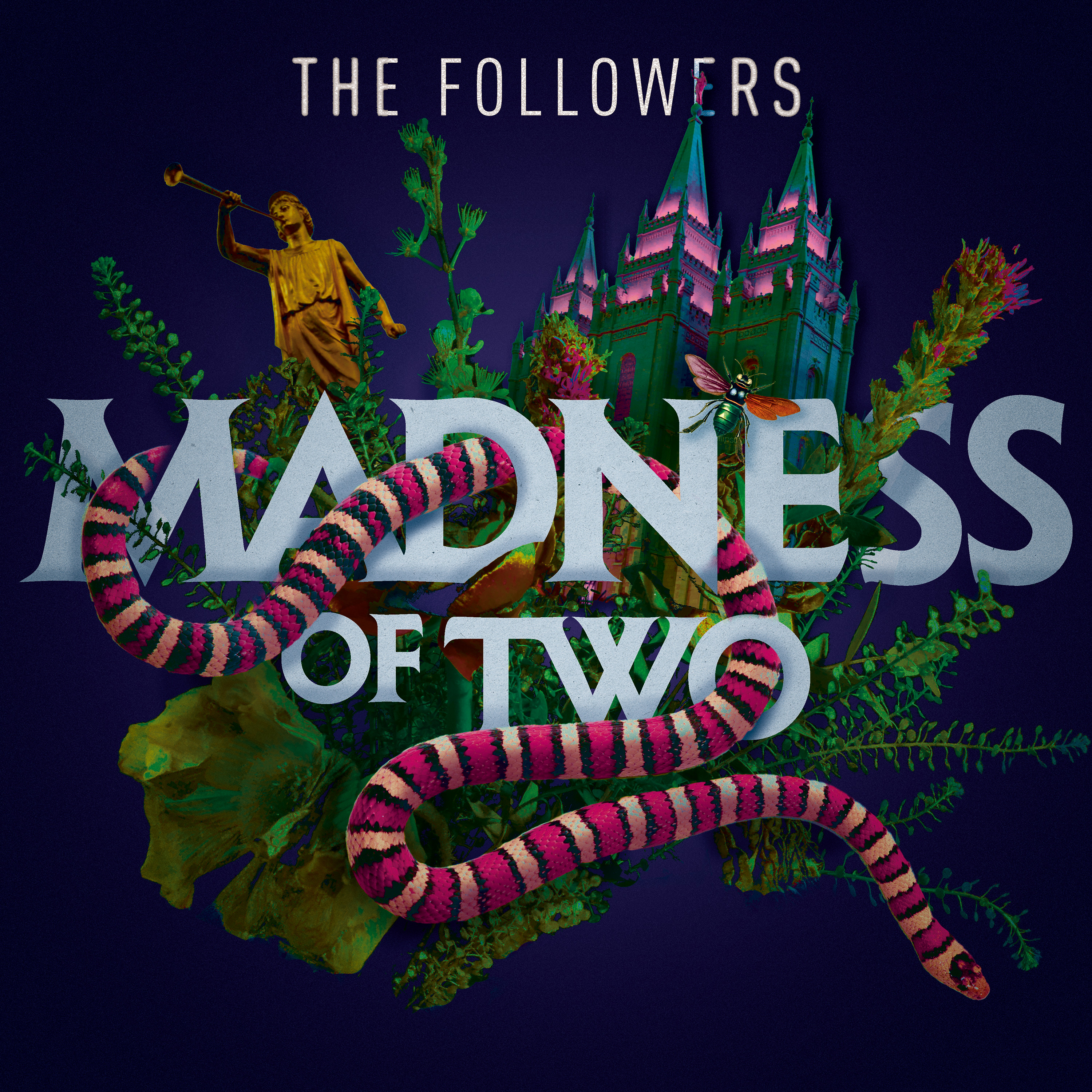 3 - He ain’t heavy - The Followers: Madness of Two - Podcast.