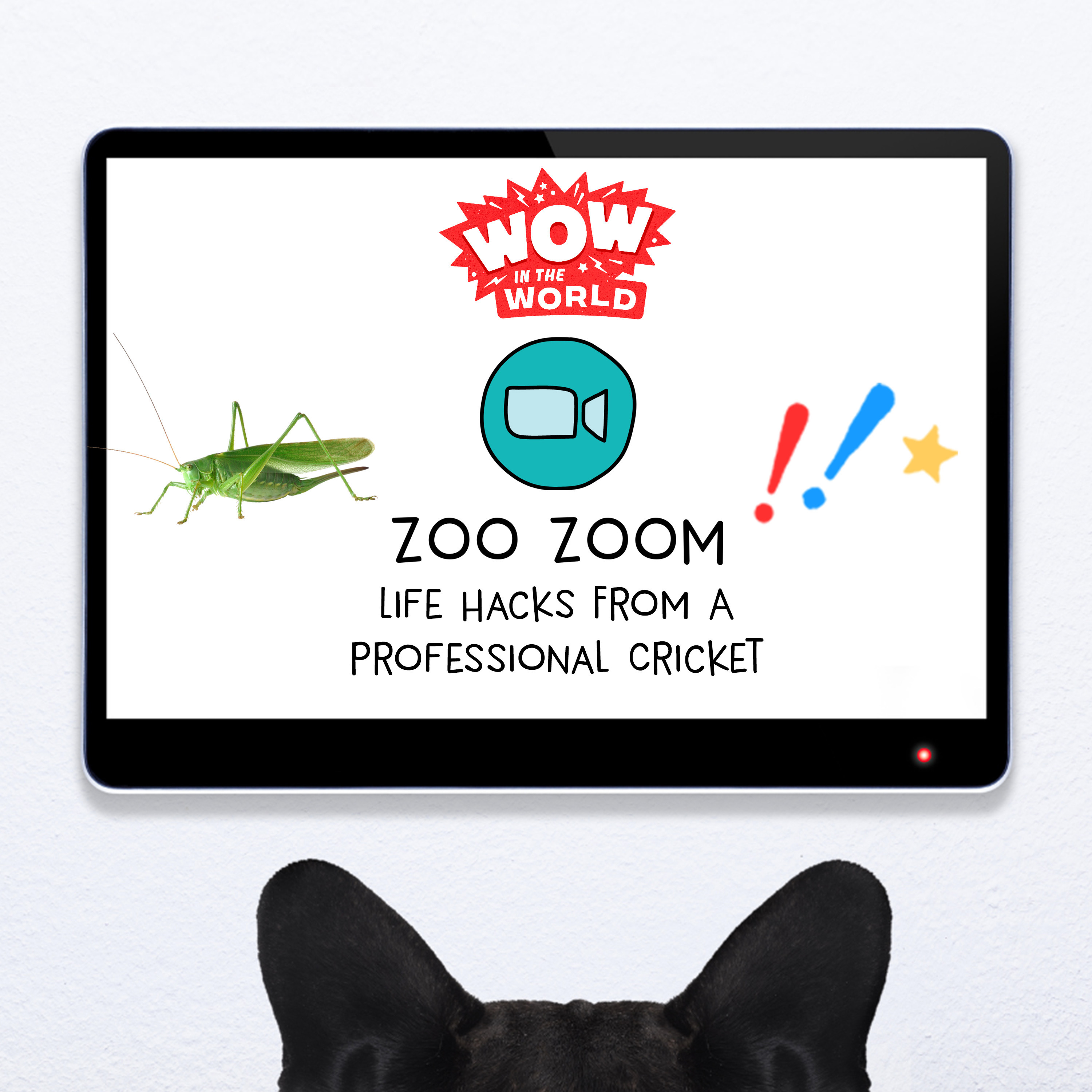 Zoo Zoom Famous: Life Hacks From A Professional Cricket (10/10/22)