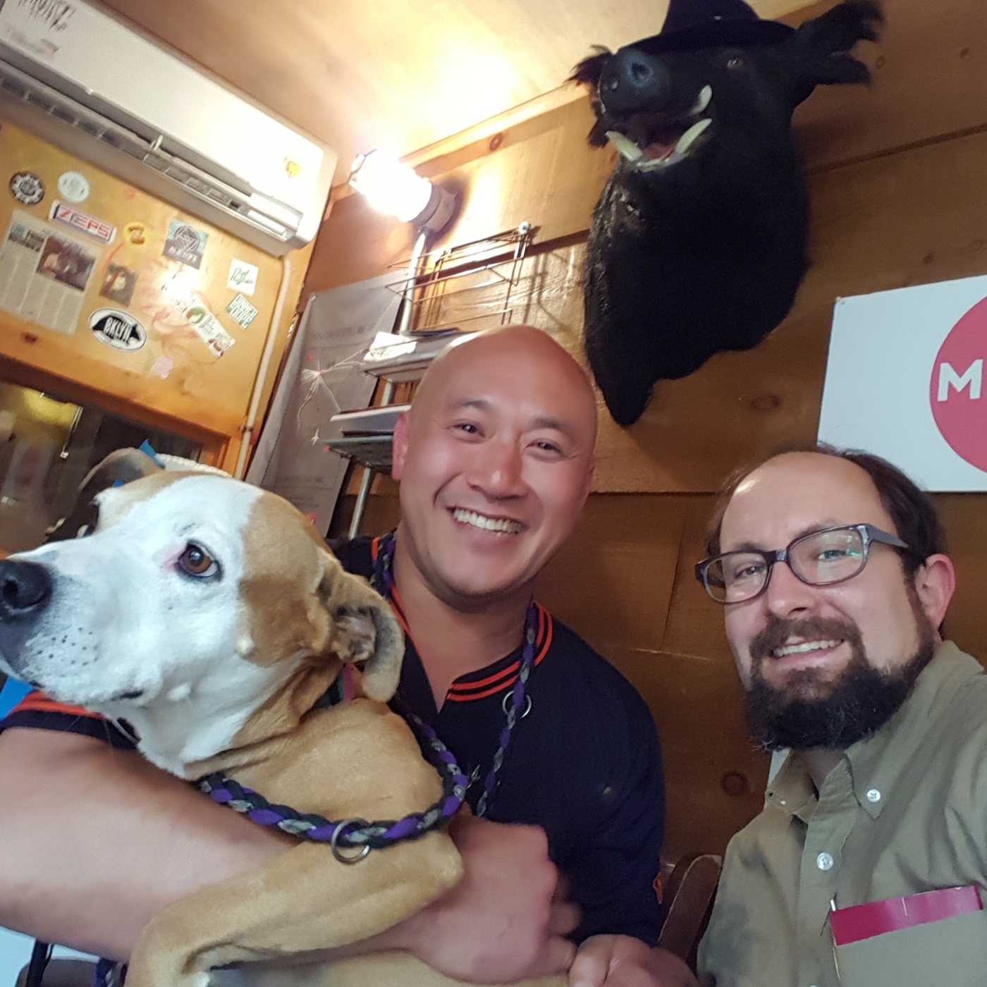 Episode 109: DIY or Die