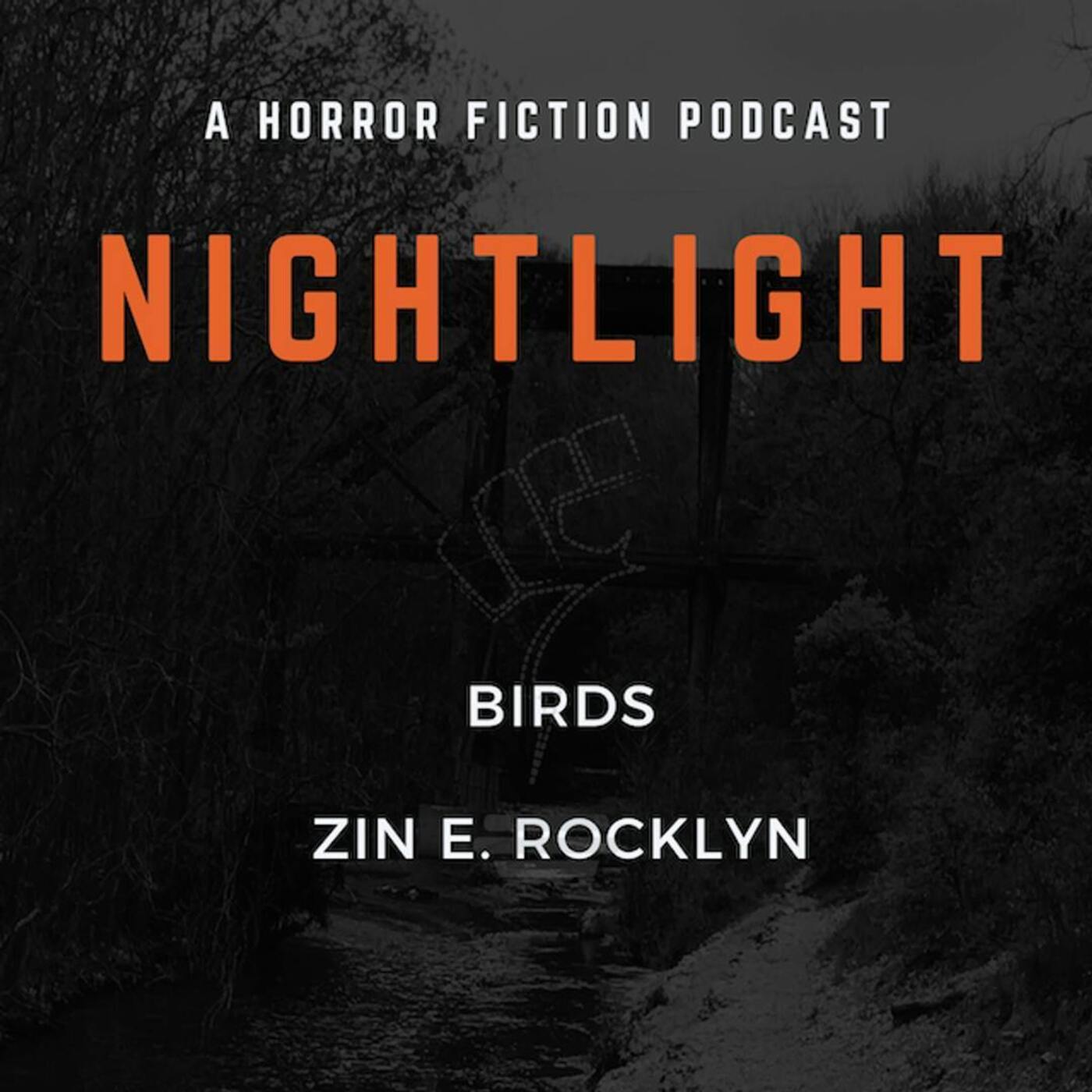 304: Birds by Zin E. Rocklyn