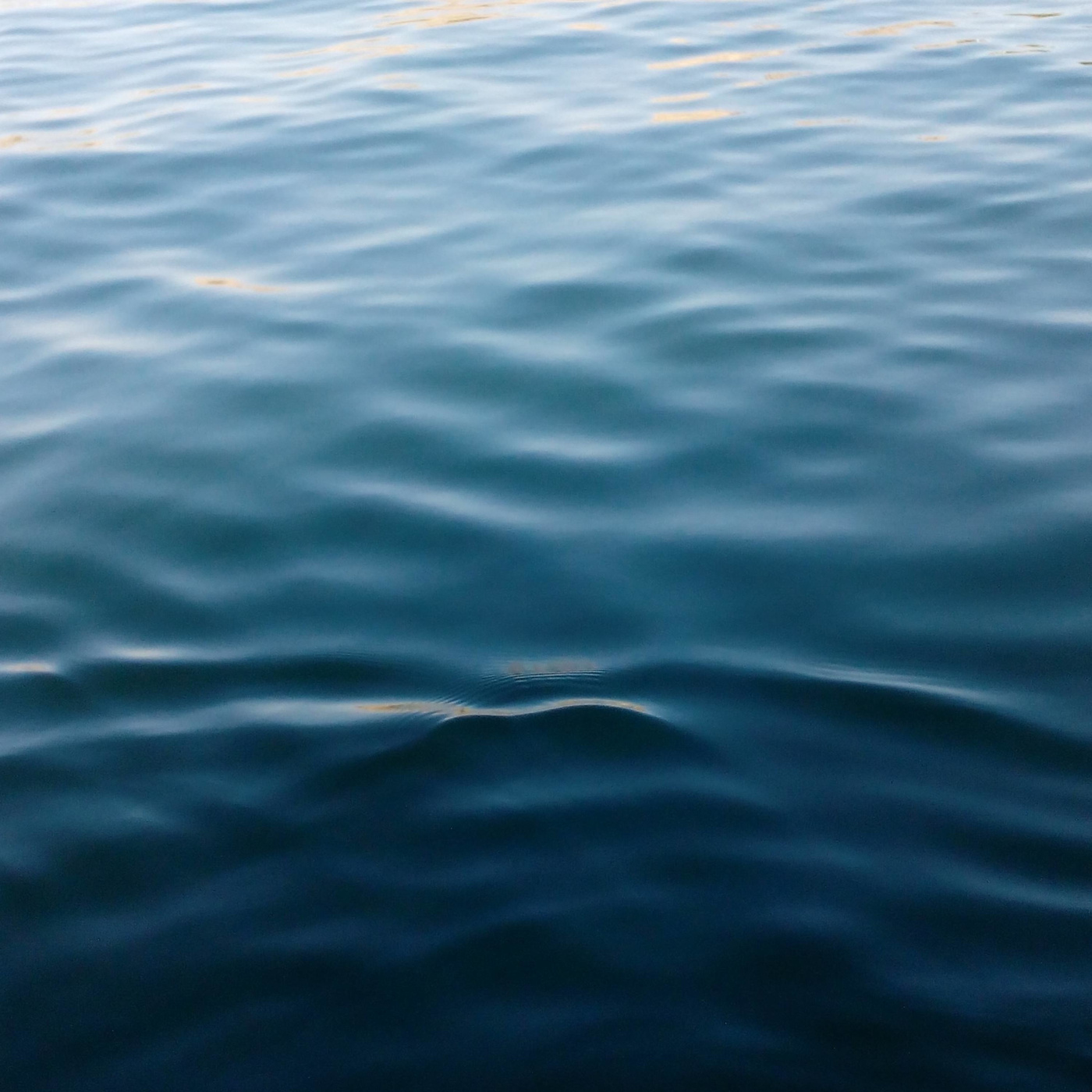 Episode 126: The Ripple Effect
