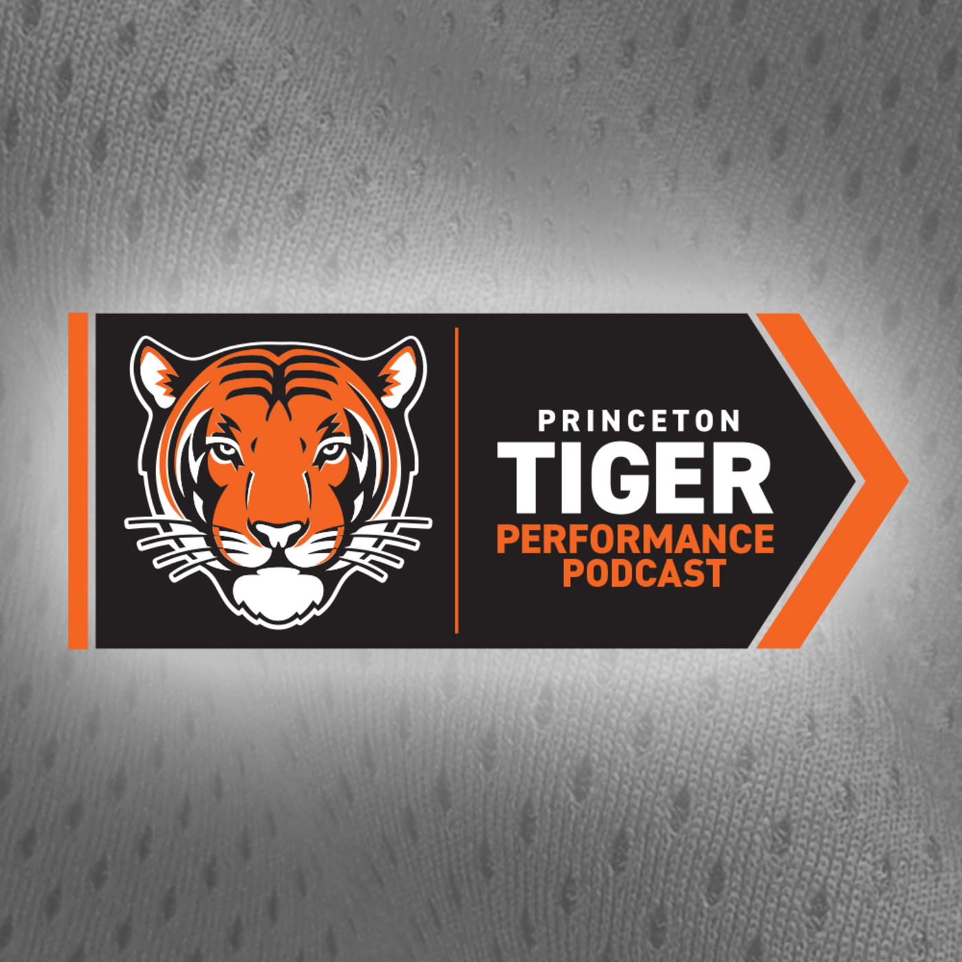 Princeton Tigers