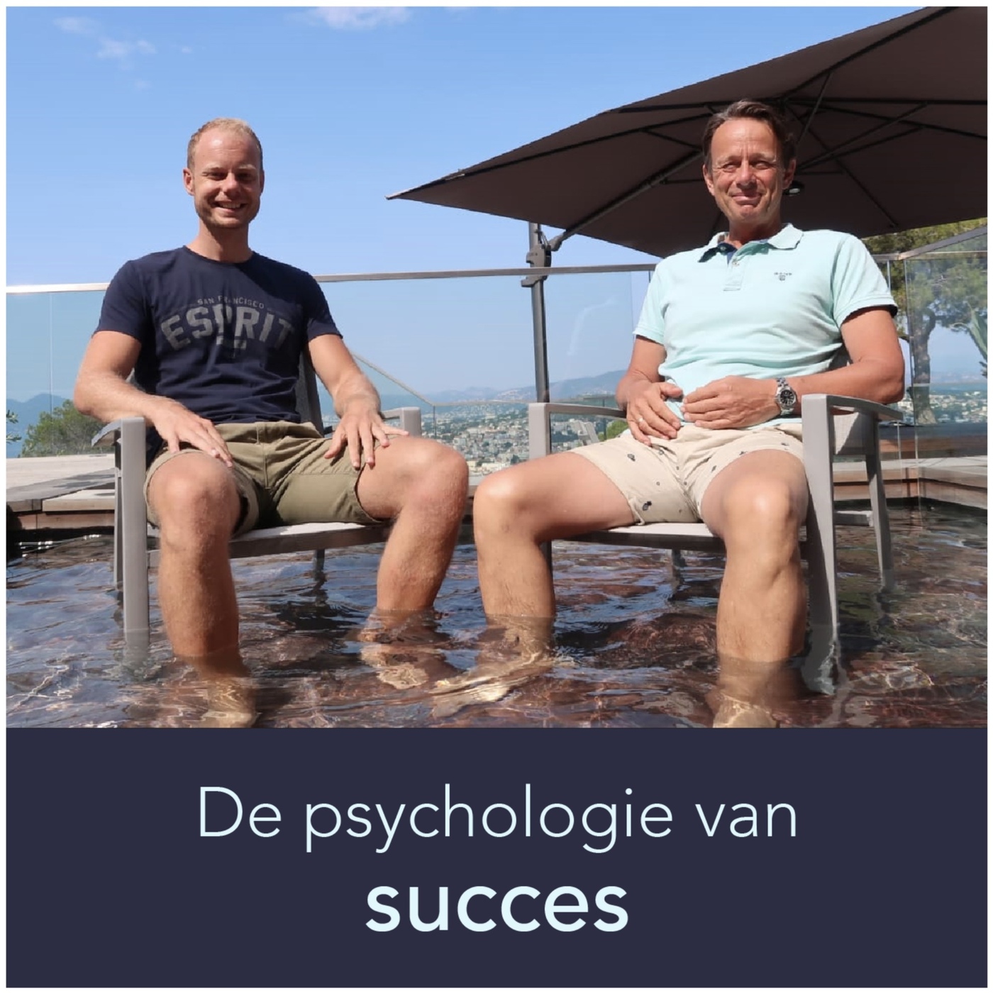 Logo De Psychologie van Succes Podcast