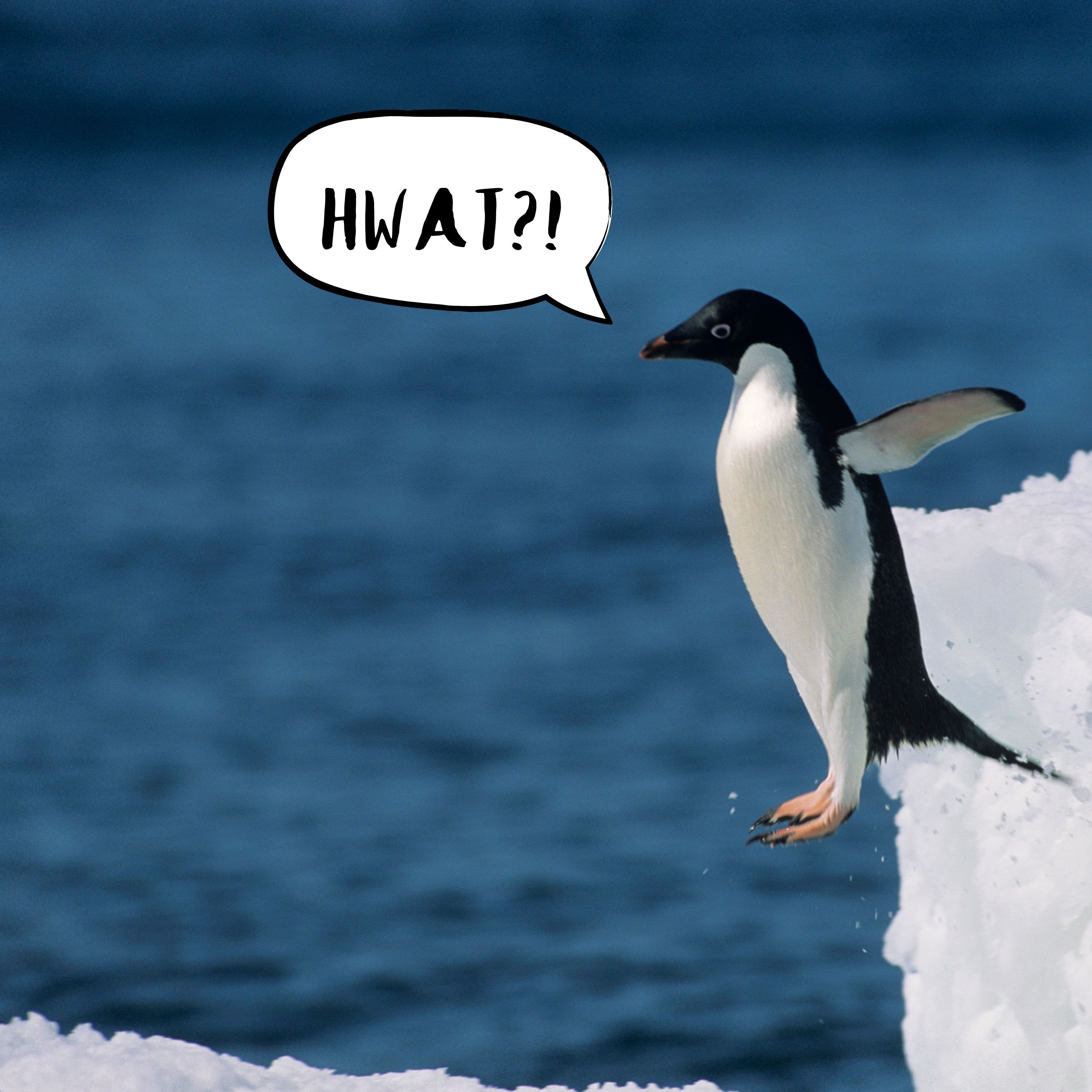 56: Richard Dreyfus' Backyard in Close Encounters