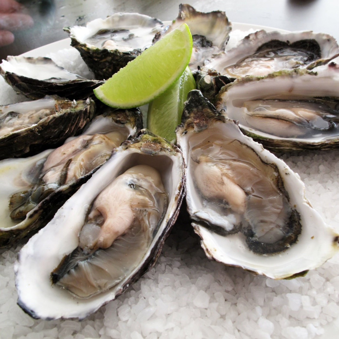 Episode 264: Kelly Jones and the Cuisine of the Pacific Northwest