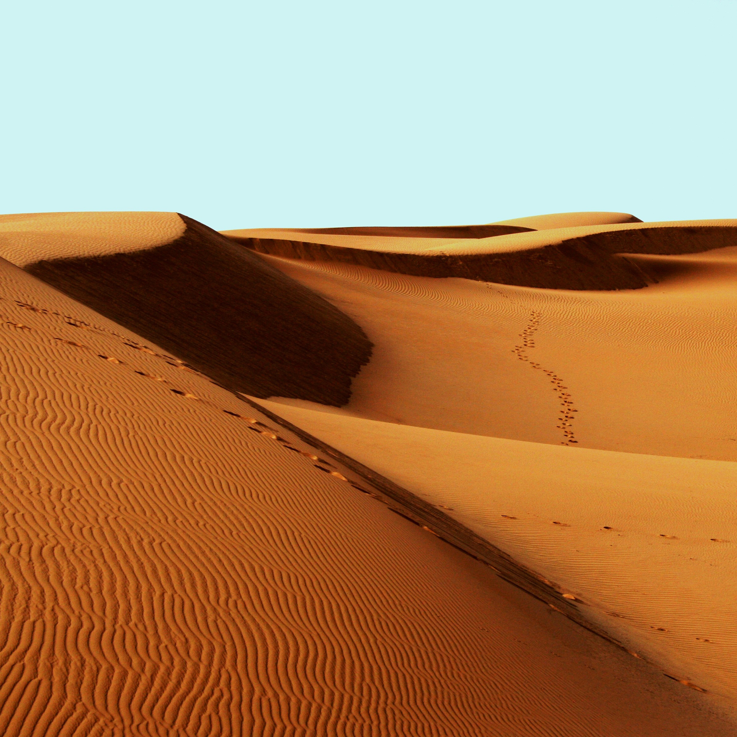 Knee-Deep in Product Marketing