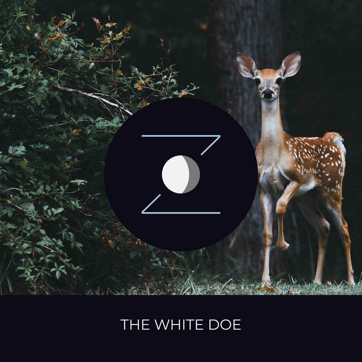 The White Doe episode artwork