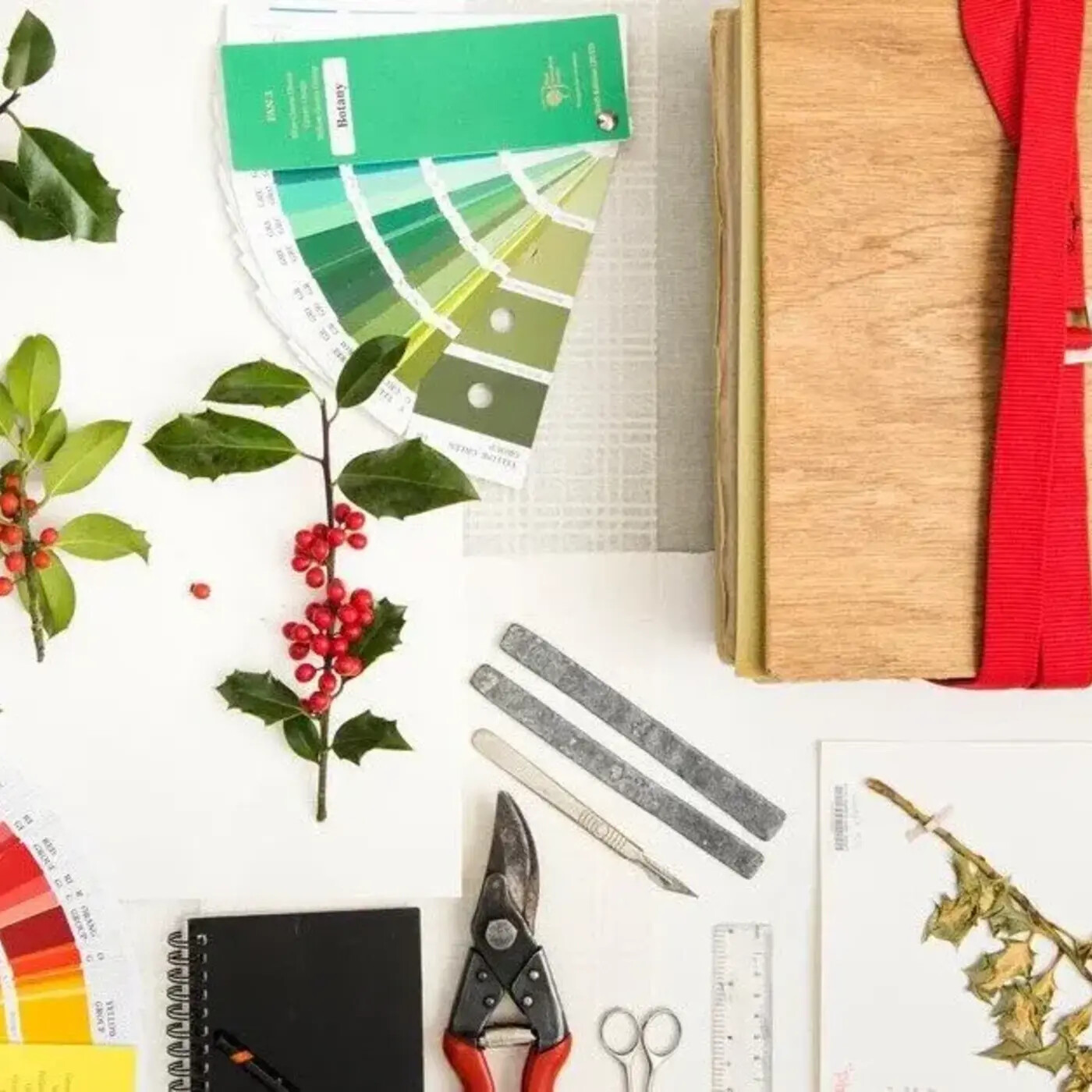 Ep. 330 - Horticultural Taxonomy