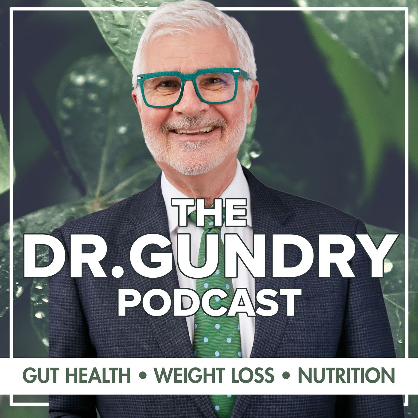 Podcast Image