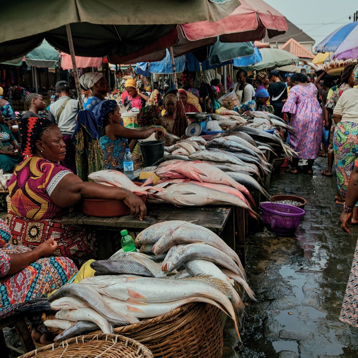 The Foodways and Cooking of Nigeria