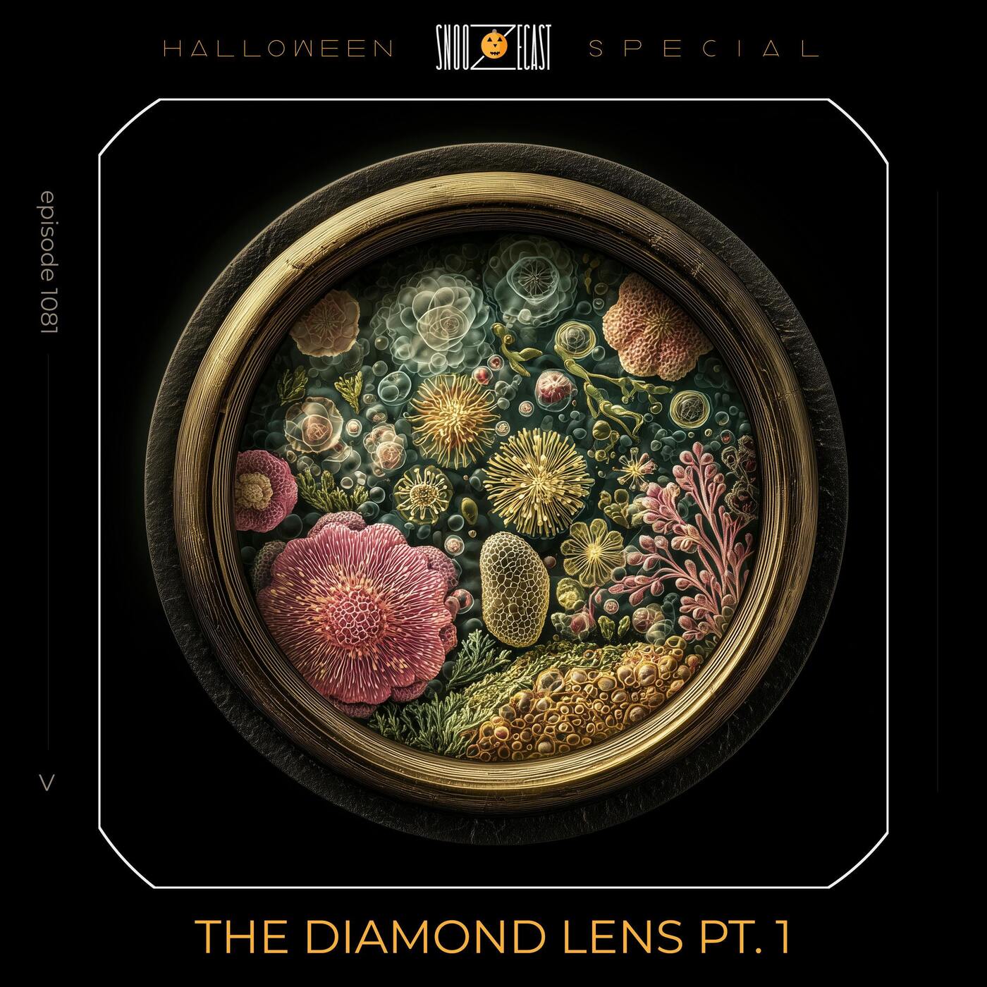 The Diamond Lens pt. 1
