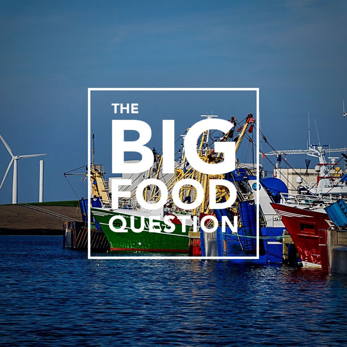 The Big Food Question