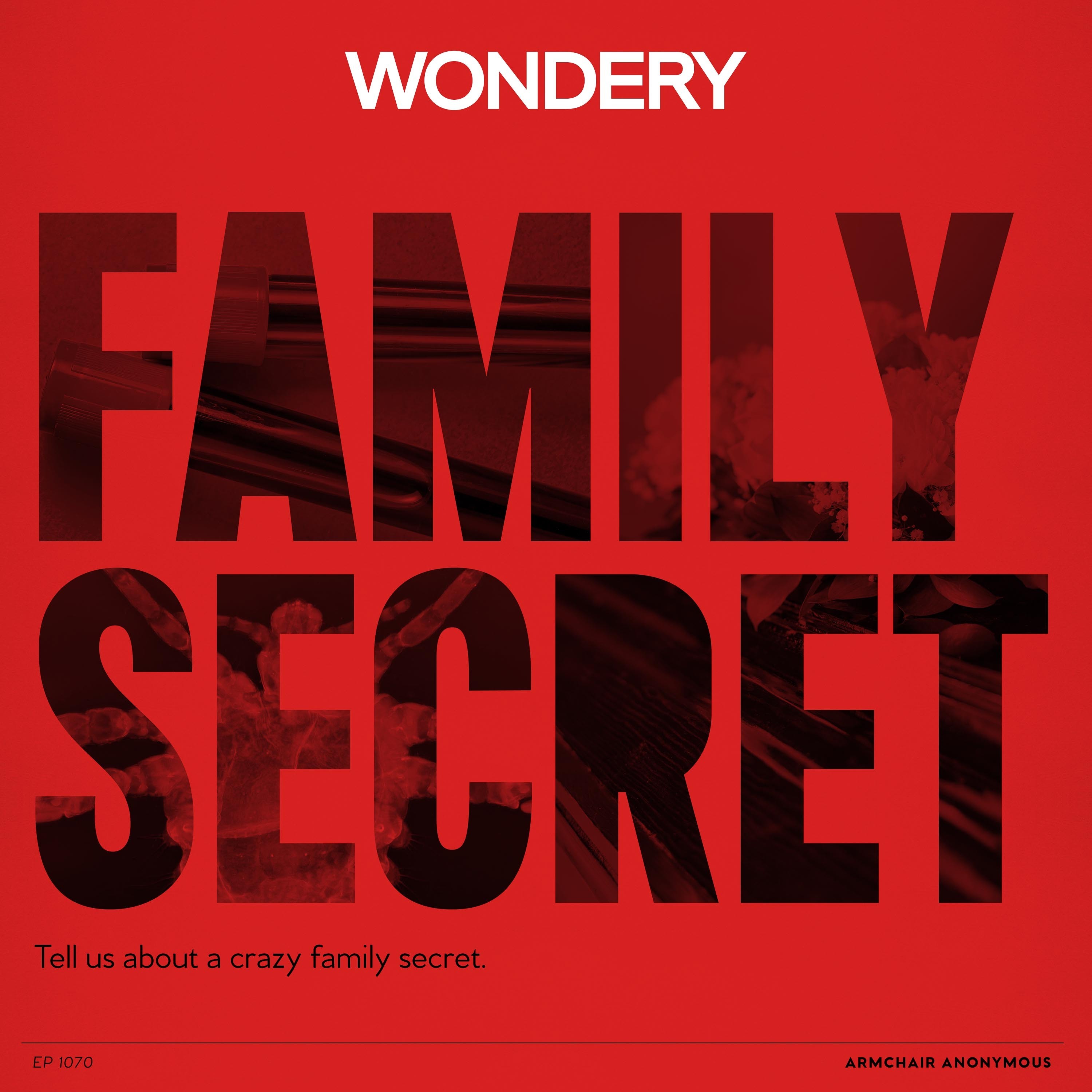 Armchair Anonymous: Family Secret Armchair Anonymous: Family Secret