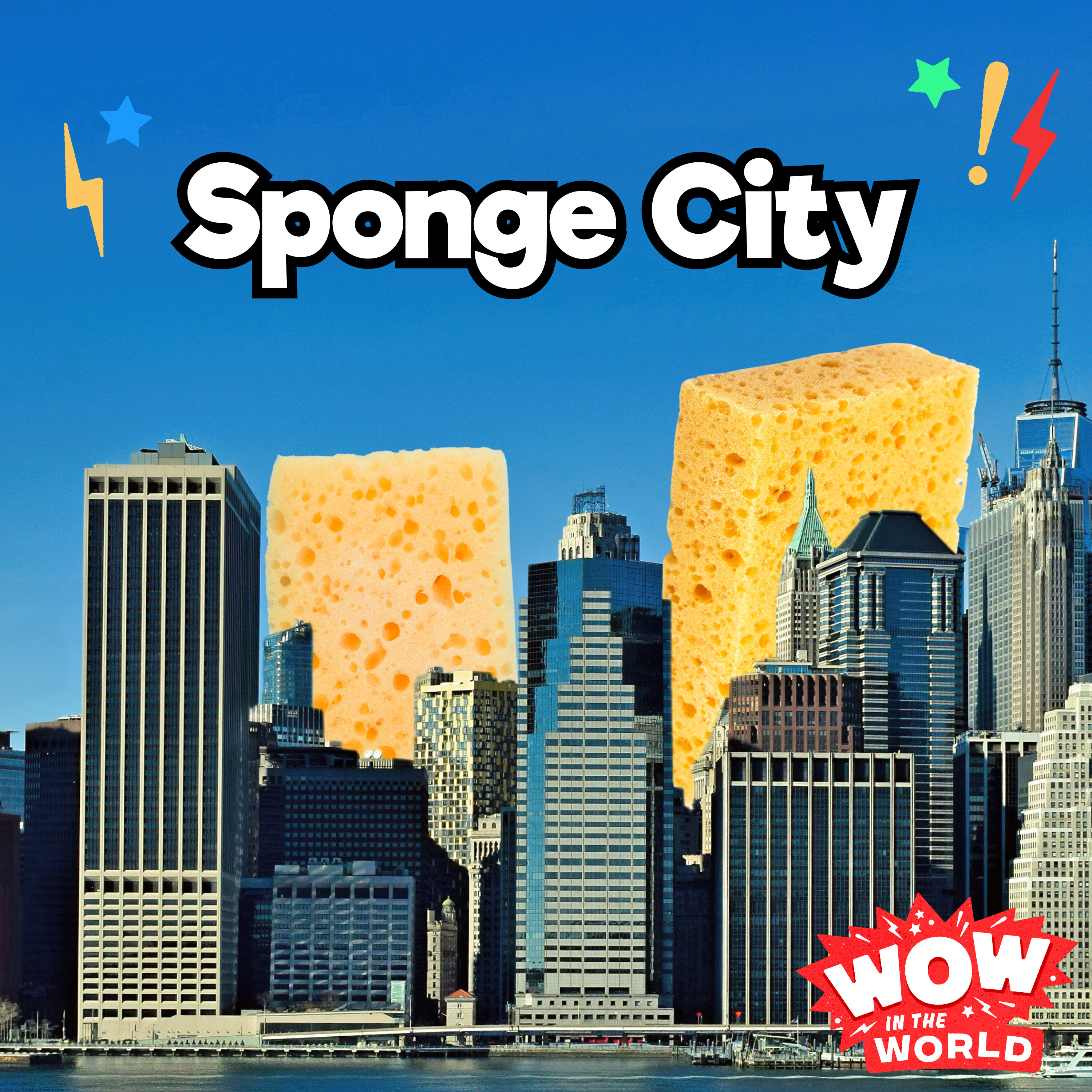 Sponge City (3/4/24)