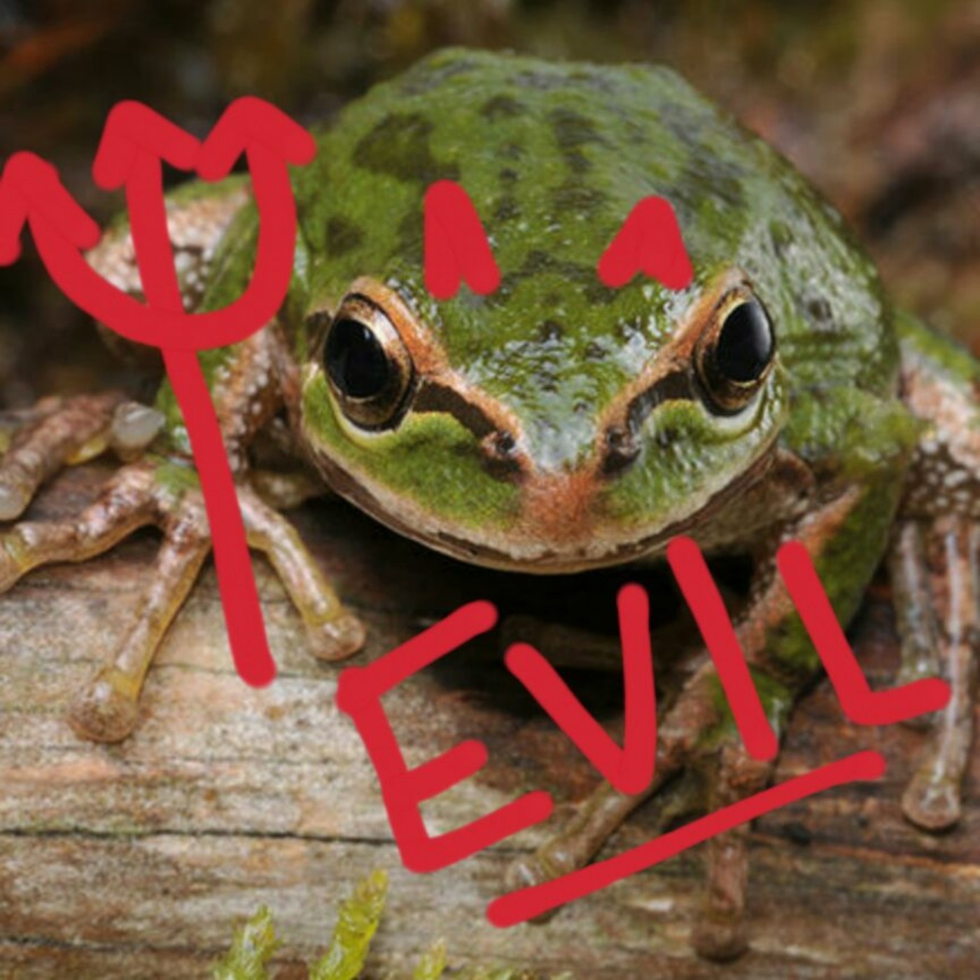 The Frogs episode artwork