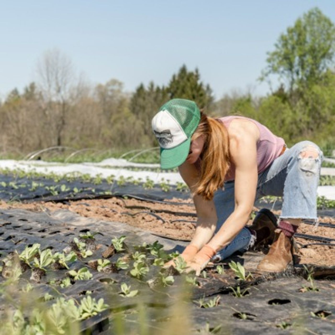 A Sustainable Food and Farm Policy Forecast for 2021 (and Beyond)