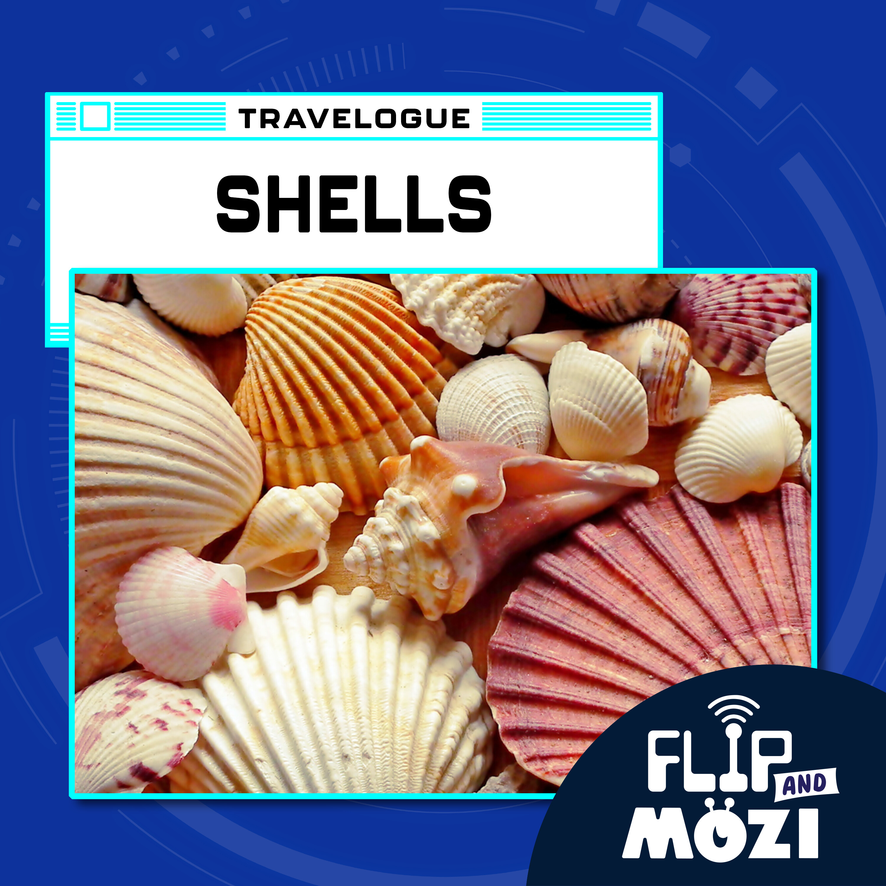 Travelpod: Shells (8/24/23)