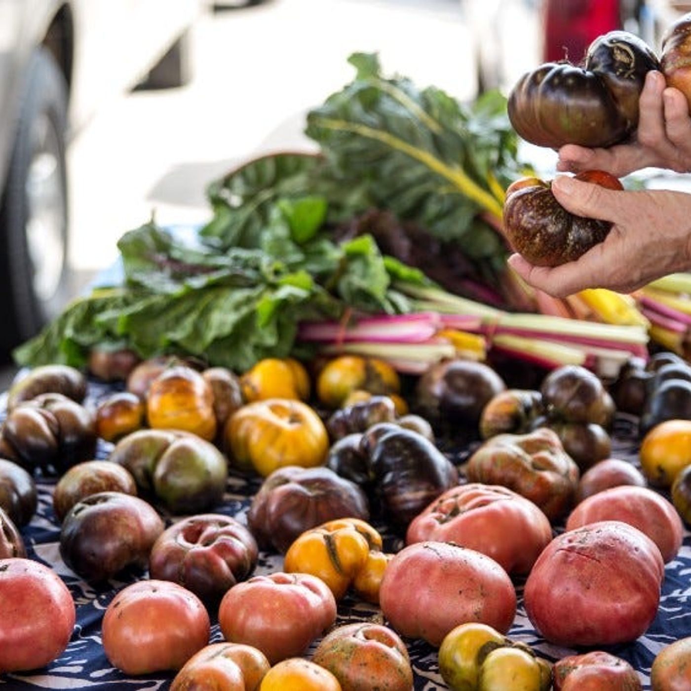 5 Ways to Prepare for Food Shortages on a Budget