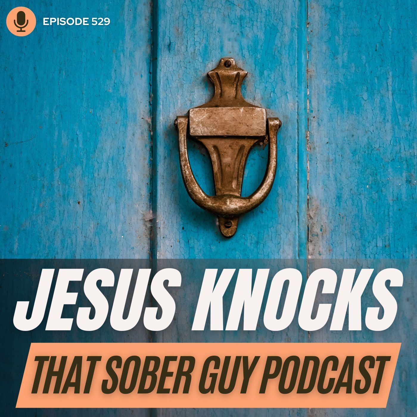 That Sober Guy Podcast